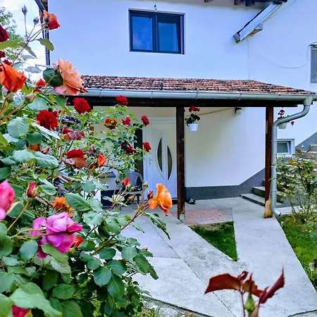 Apartment Privatni Smestaj Zlatko *